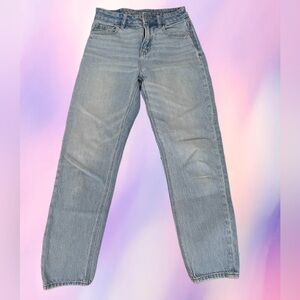 AE Strigid Mom Jeans - 2 Short